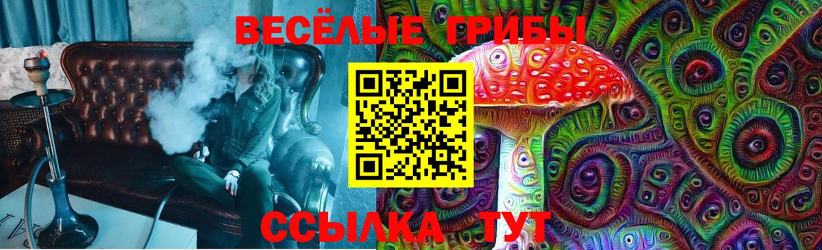 Псилоцибиновые грибы Psilocybe  Галлюциногенные грибы MAGIC MUSHROOMS  наркошоп  Вход с VPN  Лысьва 